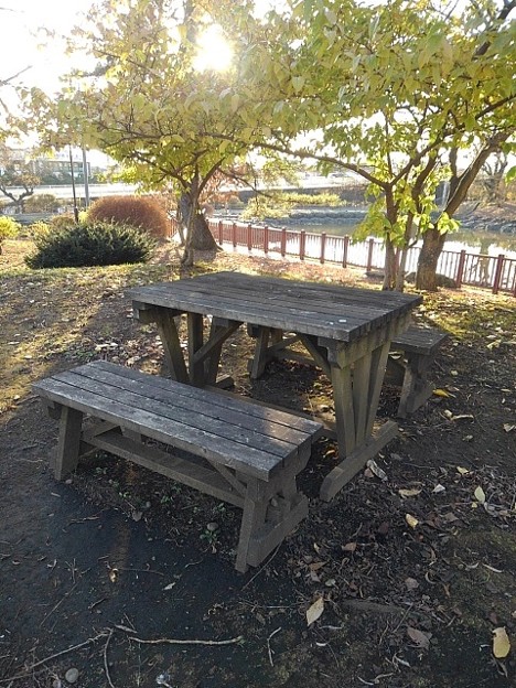 長峰公園の池近くのテーブル（12月10日）