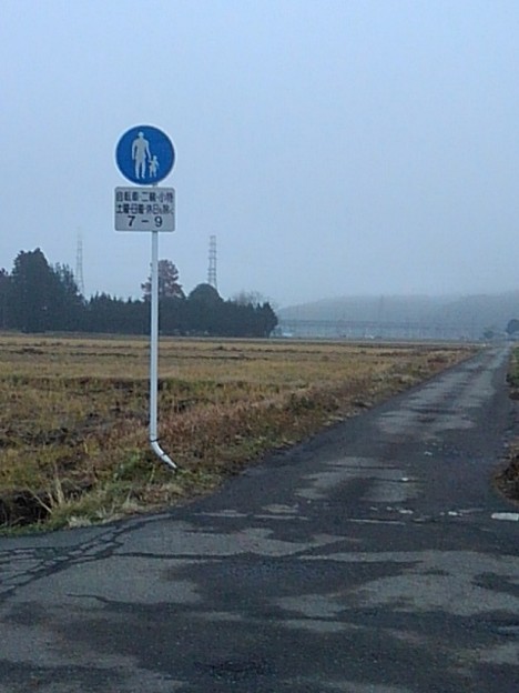 霧の道の標識（12月14日）