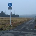 霧の道の標識（12月14日）