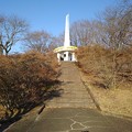 Photos: 長峰公園の丘のシンボルタワーが見える階段（12月10日）