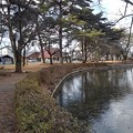 Photos: 烏ヶ森公園の植え込みと池（1月3日）