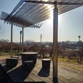 Photos: 長峰公園の屋根が格好良い休憩所（12月10日）