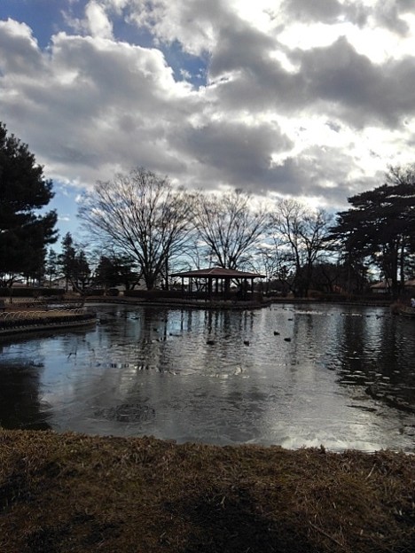 烏ヶ森公園の遊歩道の間から見えた池（1月3日）