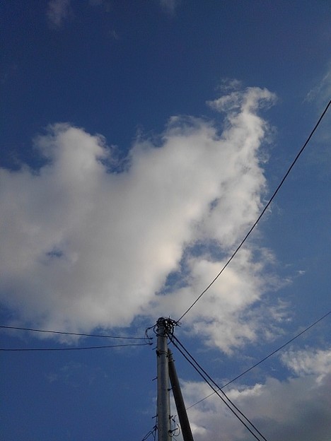 電柱と雲（1月8日）