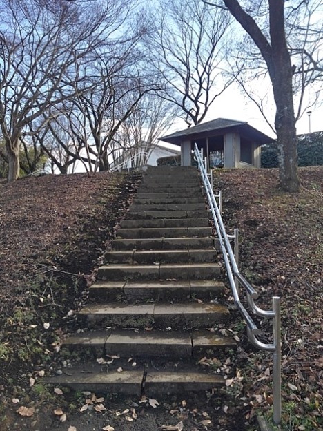 ゆうゆうパークの階段と奥の休憩所（1月2日）