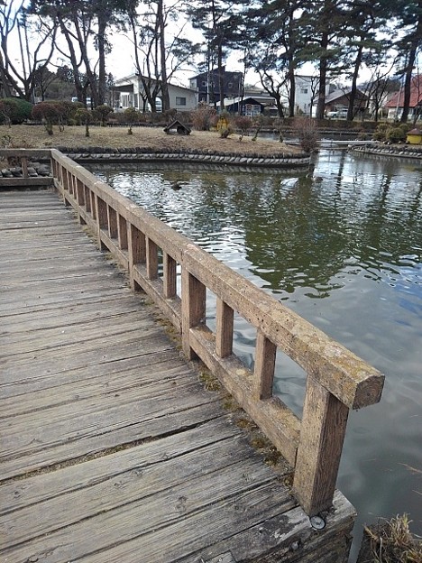 烏ヶ森公園の池の橋の欄干（1月3日）