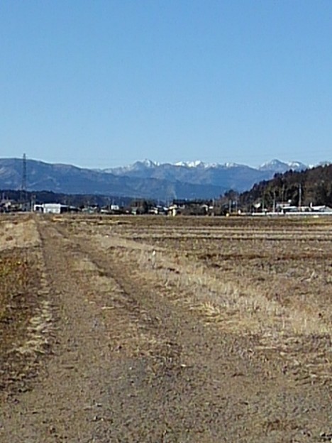 畦道と山（2月6日）