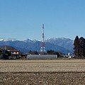 水田の奥の鉄塔と山（2月16日）