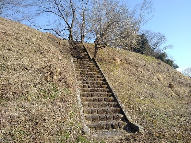 川崎城跡公園の丘の石段と梅の木（2月23日）