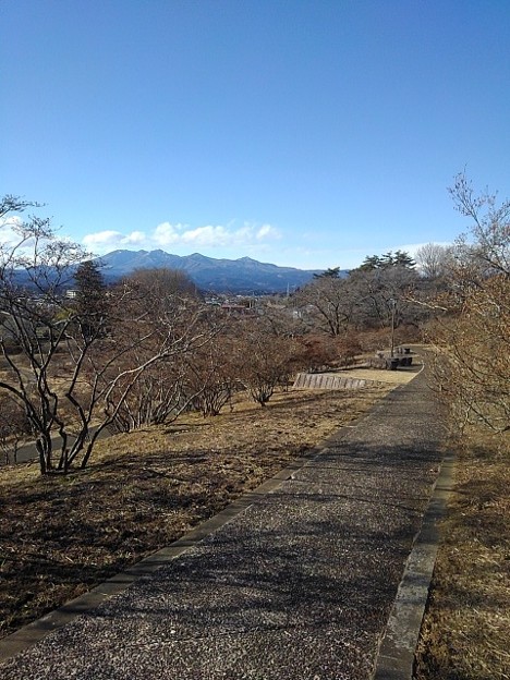 長峰公園の丘の中腹の道（2月20日）