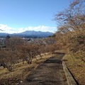 長峰公園の丘の緩やかな階段（2月20日）