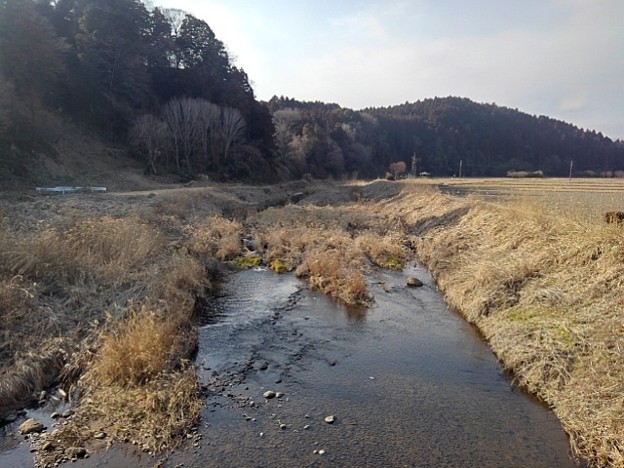 川崎城跡公園の綺麗な水の景色（2月23日）