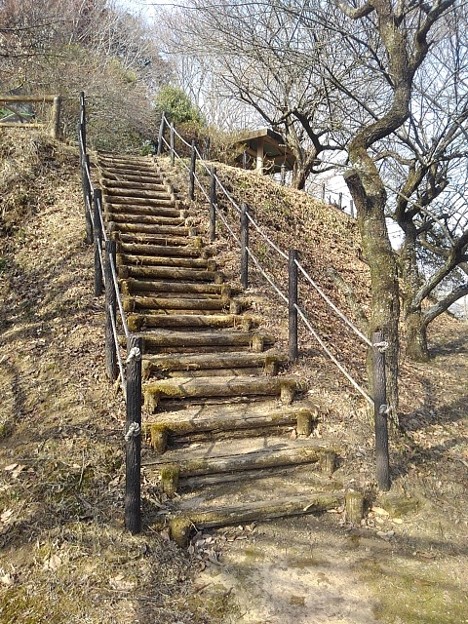 川崎城跡公園の丘の中腹の階段（2月23日）