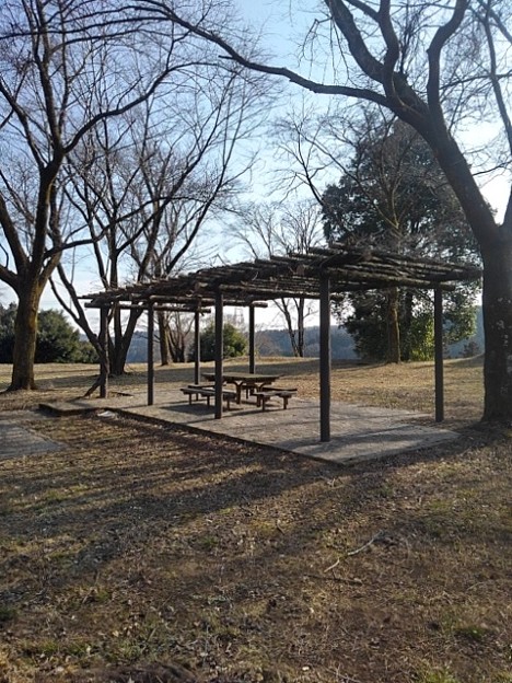 川崎公園の丘の頂上の休憩所（2月23日）