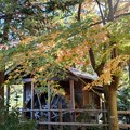 Photos: 舞岡公園の秋色