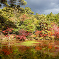 Photos: 神戸森林植物園の紅葉