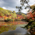 Photos: 神戸森林植物園の紅葉