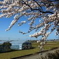 Photos: 春のみち