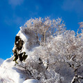 Photos: 恵庭岳西峰方向の樹氷