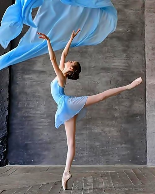 Beautiful Ballerina(3)