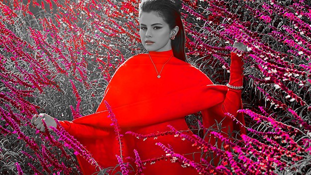 Beautiful Selena Gomez(9006060)
