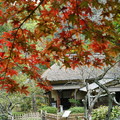 秋の三渓園