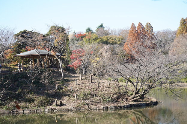 Photos: 三ッ池公園