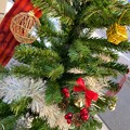 Photos: 11.11.2021First of #Xmas(Tree)Hope for joy, I will never forget my favorite event!忘れない希望平和煌めき今年最初の発見