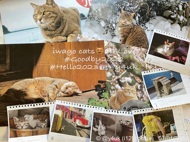 Photos: 1.1#Hello2023#Goodby2022iwago cats all love#岩合光昭日本の猫＆卓上カレ昨年お気に入り剥がす溜まる小さな幸せ好きな理由は岩合写真から全て伝わるツイ2匹後に名前