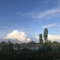 Photos: ヤンゴンの空と華 (1)