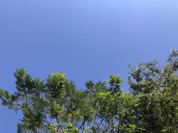 ヤンゴン12月の雲が無い空