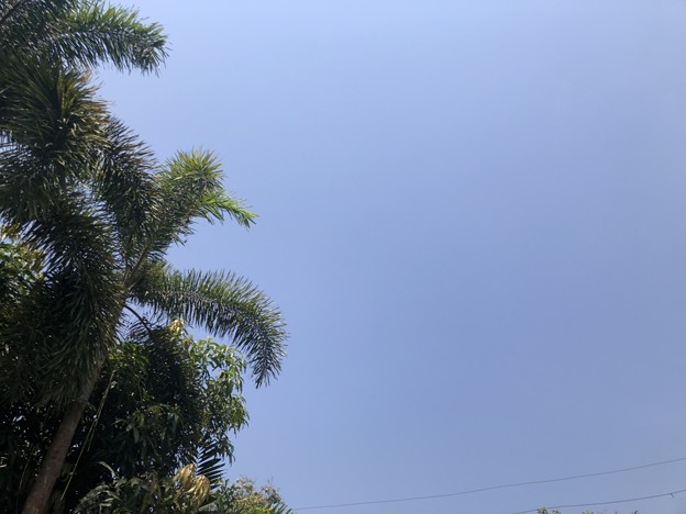 ヤンゴン３月14日の気温と空 (1)