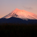 Photos: 紅富士の季節