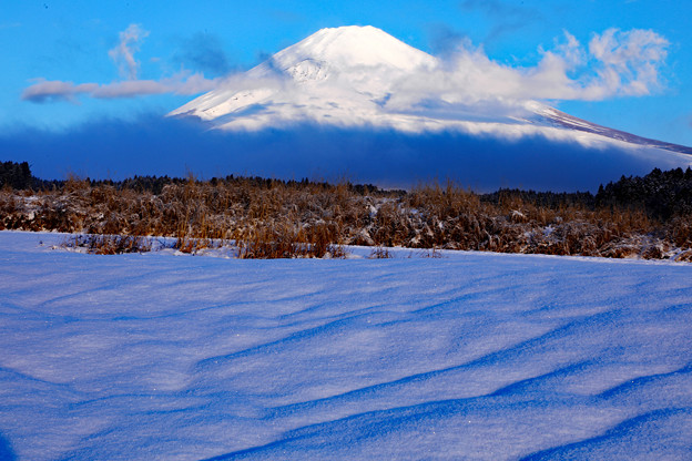 Photos: 新雪の朝