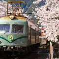 Photos: 駿河徳山駅の桜