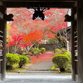 Photos: 松尾寺の紅葉(2)IMG_2026