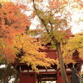 Photos: 山門と紅葉