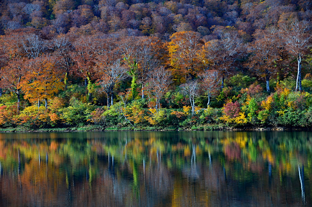 s須川湖～対岸の紅葉
