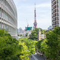 Photos: 東京タワーが見える
