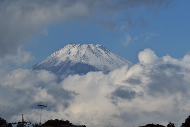 Photos: 冠雪富士山