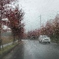 Photos: 秋日の雨