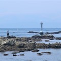 Photos: 裕次郎灯台と鳥居