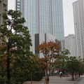 Photos: 大都会の紅葉パート２