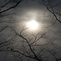 Photos: 冬空の太陽