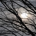 Photos: 冬空の太陽　パート2