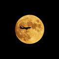 Photos: 「小望月」満月前夜