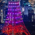 ダイヤモンドヴェール「東京タワー (1)