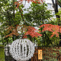 Photos: 乃木神社 (3)
