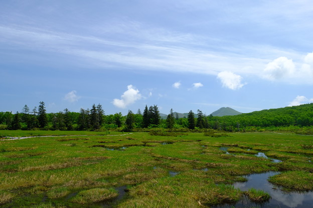 神仙沼湿原