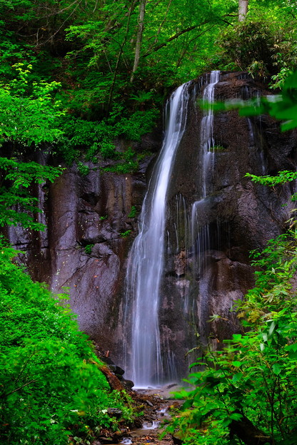 Photos: 有明の滝